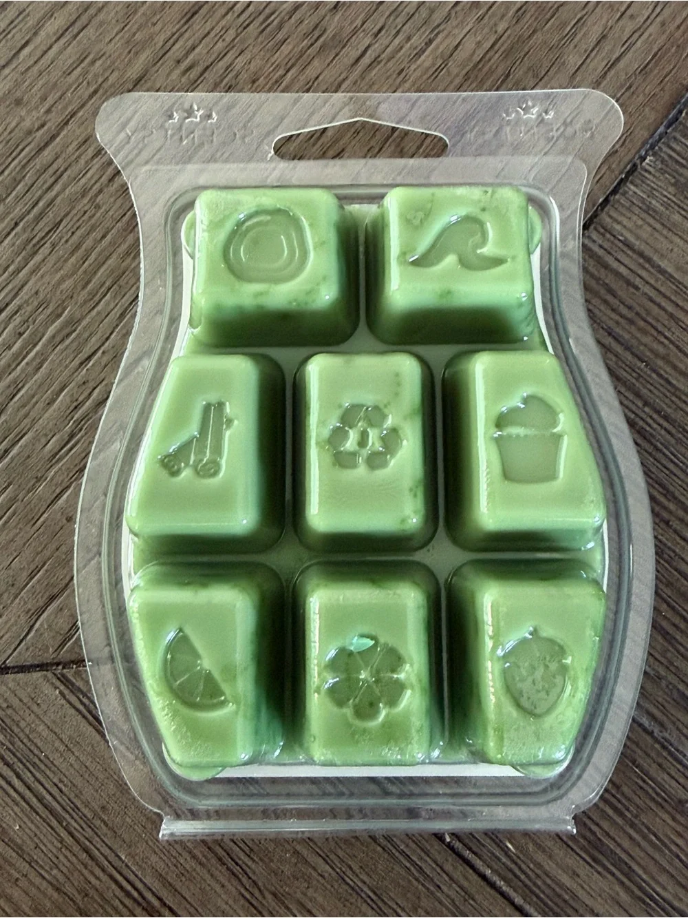 Scentsy Rainforest Bungalow Wax Bar Retired